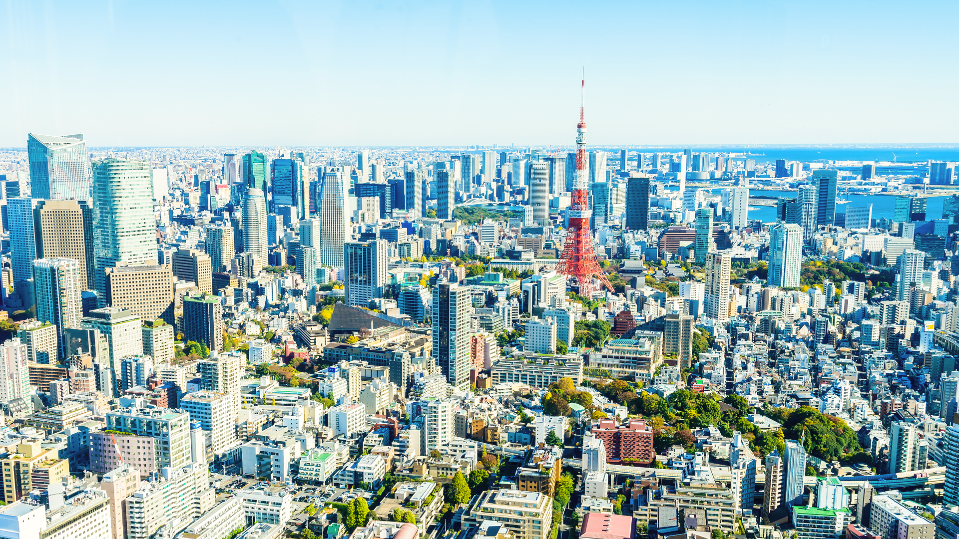 林生記株式会社